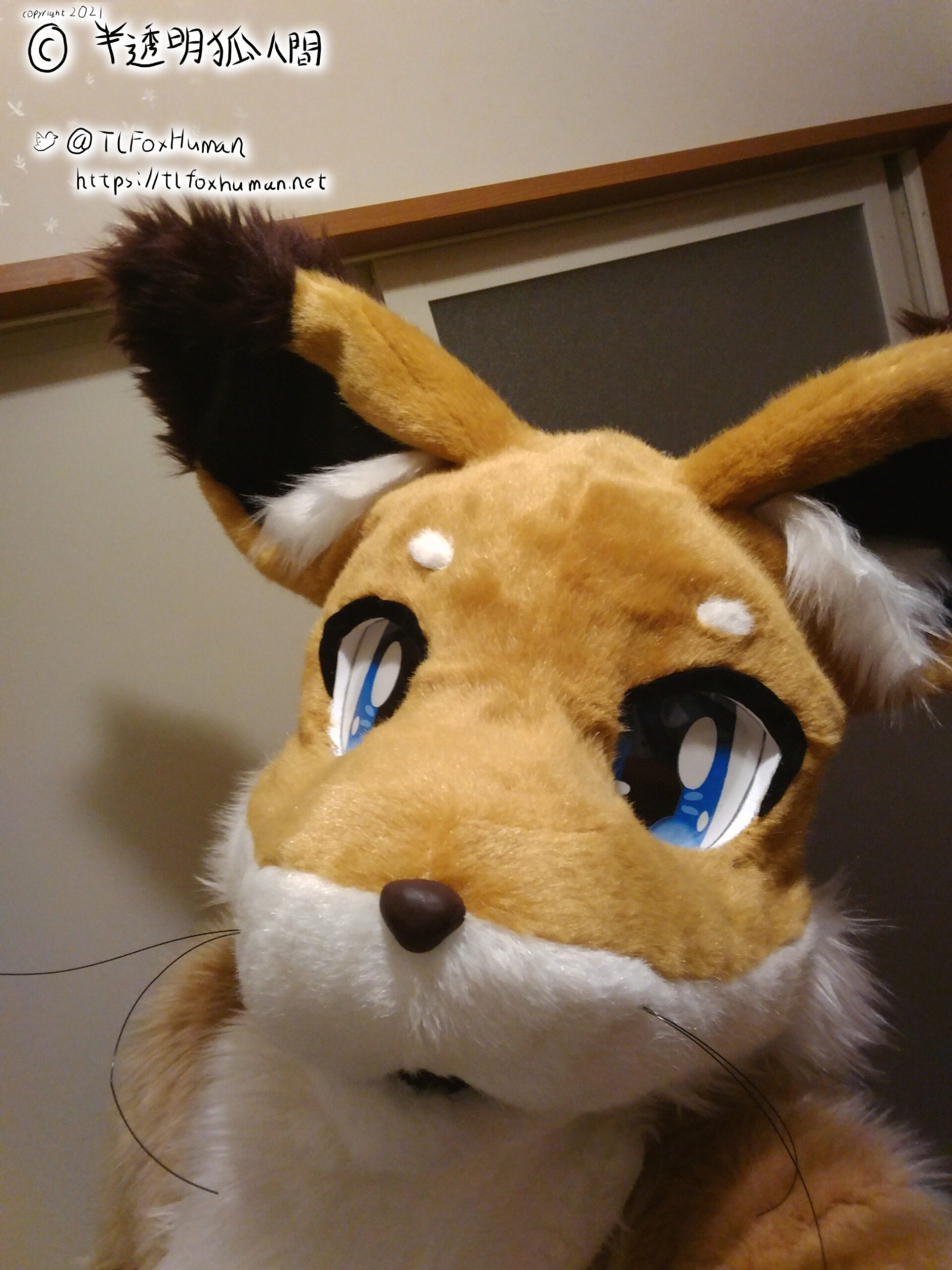 FursuitFriday : 自撮り ver.2